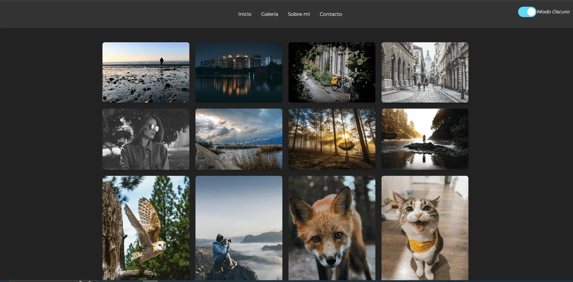 Proyecto Portafolio Fotografía